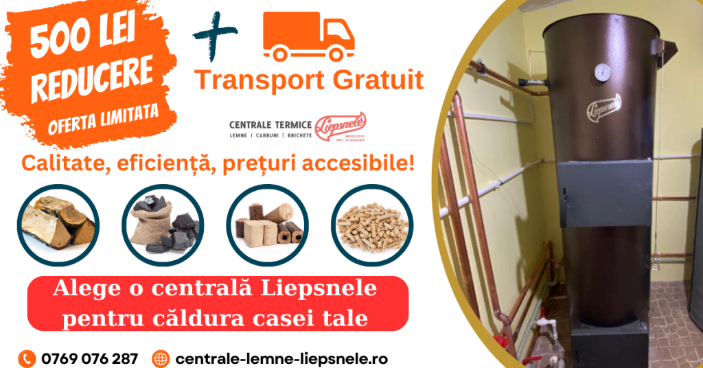  De ce să îți încălzești casa folosind un cazan pe lemne? (P)