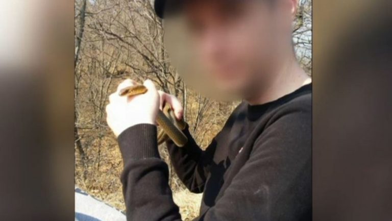 Tânăr găsit mort în casa unde creștea vipere. Bunica victimei: A fost mușcat de n ori. A încercat să se salveze, de aia și-a pus garoul