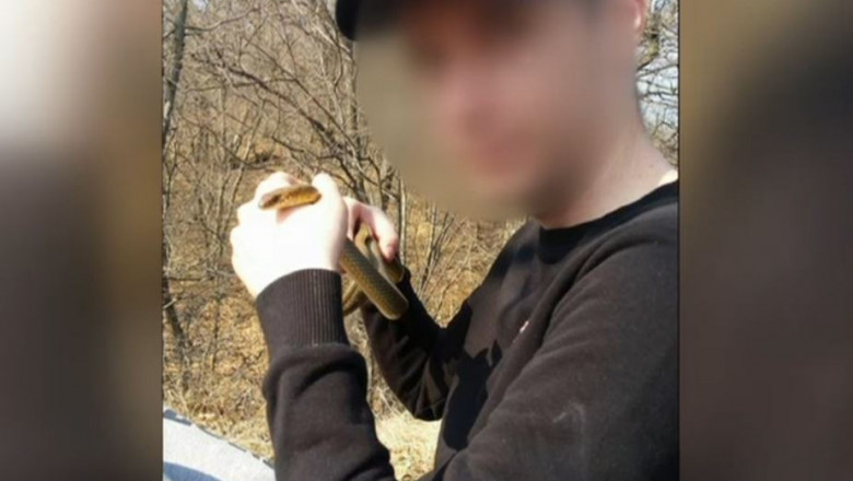 Tânăr găsit mort în casa unde creștea vipere. Bunica victimei: A fost mușcat de n ori. A încercat să se salveze, de aia și-a pus garoul
