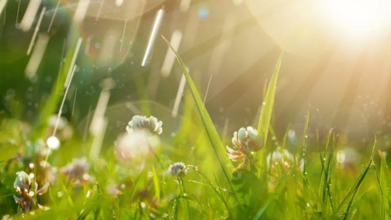Am traversat cea mai caldă lună aprilie din istorie. Din iunie 2023, fiecare lună a stabilit un record de temperatură