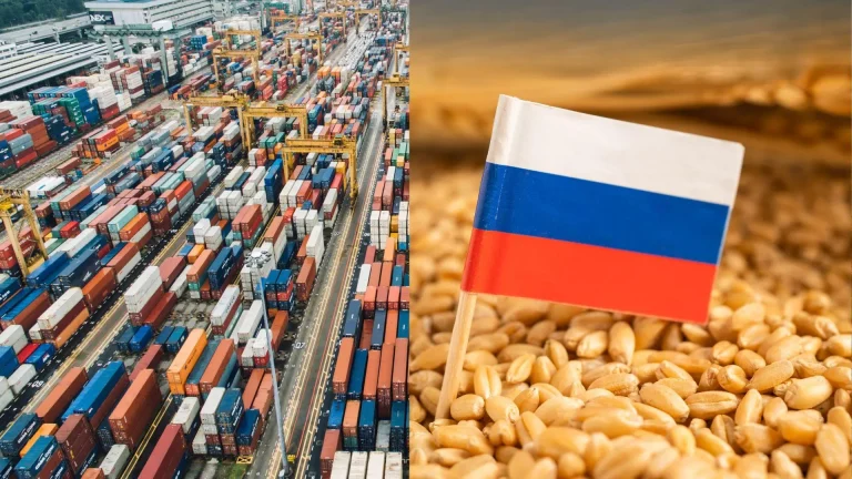 Cei 27 dau undă verde impunerii unor taxe prohibitive cerealelor ruseşti importate în UE
