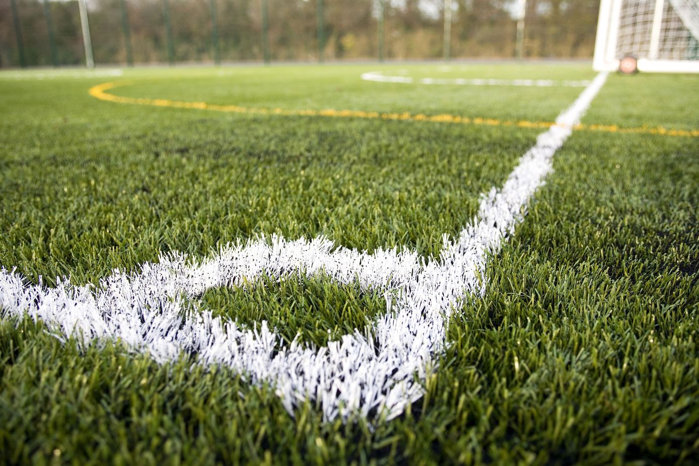 SPORT Nu vă duceți după fente! Zero șanse reale pentru foști sau actuali sportivi de a intra în CL sau CJ Iași
