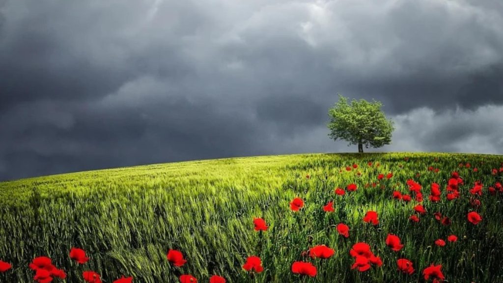  Cum va fi vremea în primele zile de vară. Prognoza meteo până pe 10 iunie   