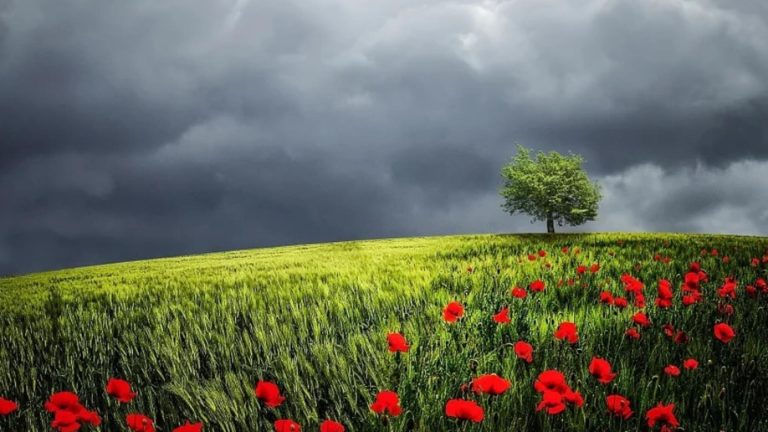 Cum va fi vremea în primele zile de vară. Prognoza meteo până pe 10 iunie   