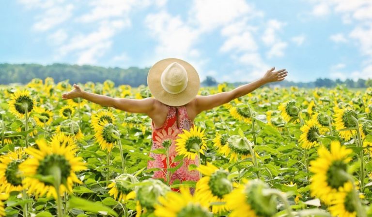 Cum va fi vremea în Moldova în următoarele două săptămâni