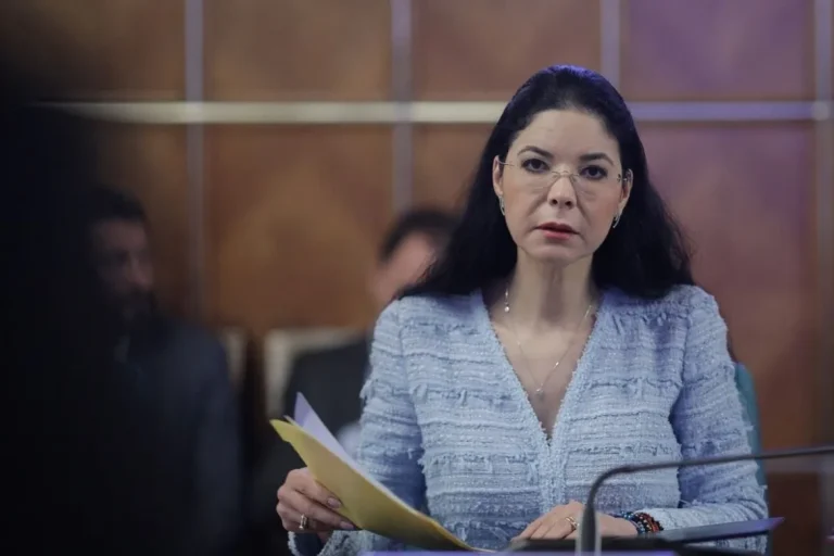Ana Birchall şi-a anunţat candidatura independentă la prezidenţiale