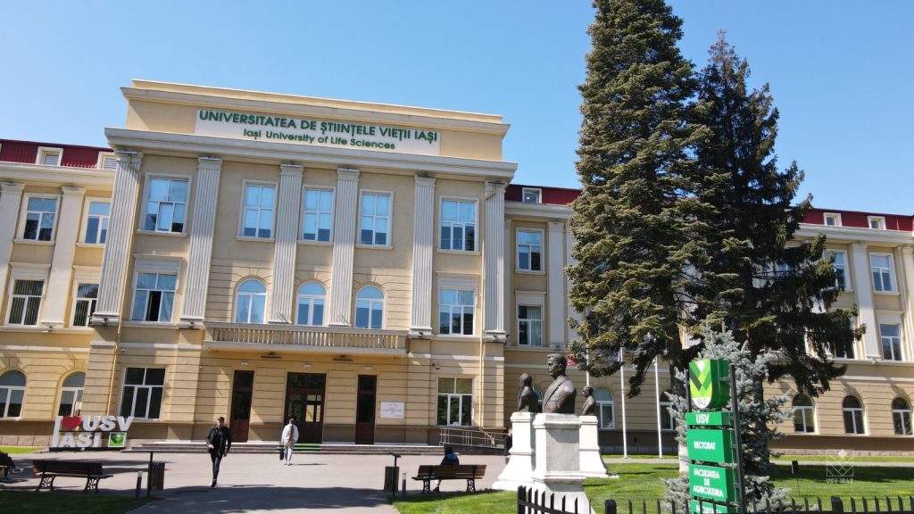  Școală de vară „Viitor student la USV Iași”
