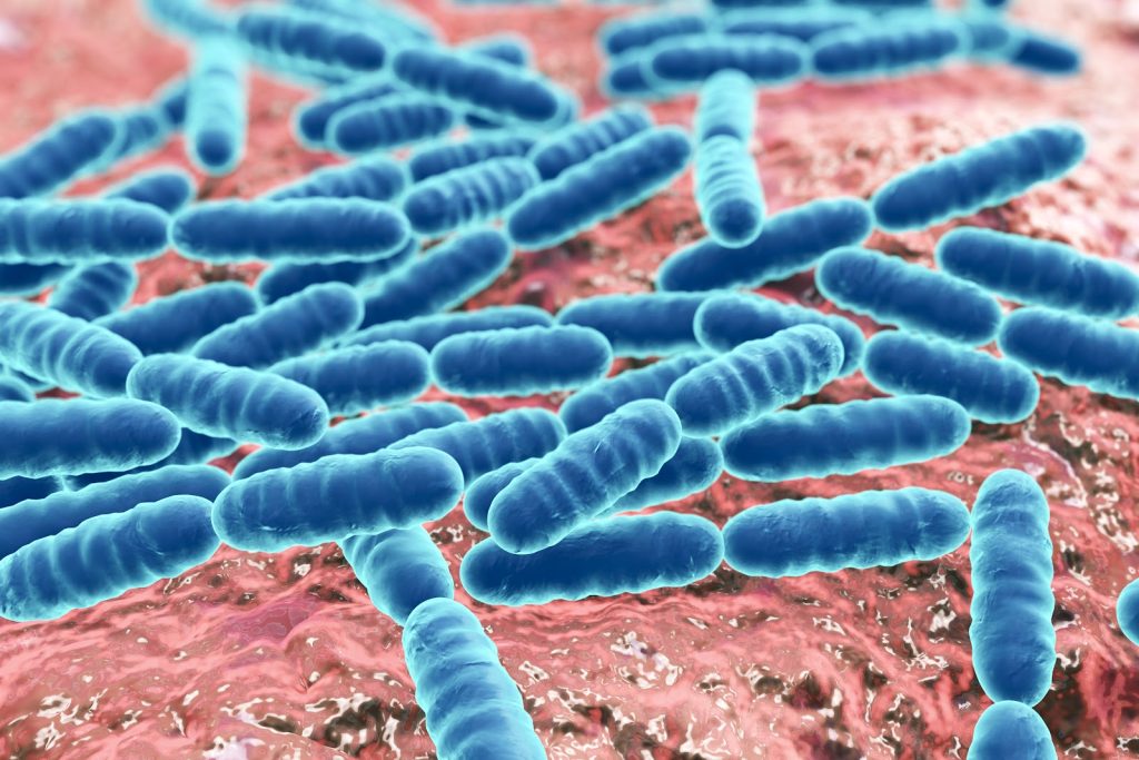 Bacteriile – Când ne ajută, când ne devin dușmani de moarte? O incitantă discuție cu cele mai autorizate voci ale Iașului medical