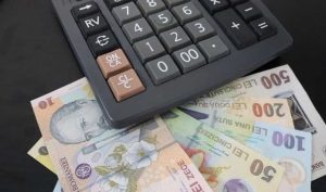 Scenariu pentru România anului 2026: profit de 1.300 de lei pe lună la o afacere cu rulaj de 150.000 euro / an. „Cam cât se da primă de Ziua Pădurarului la un junior de la Romsilva”