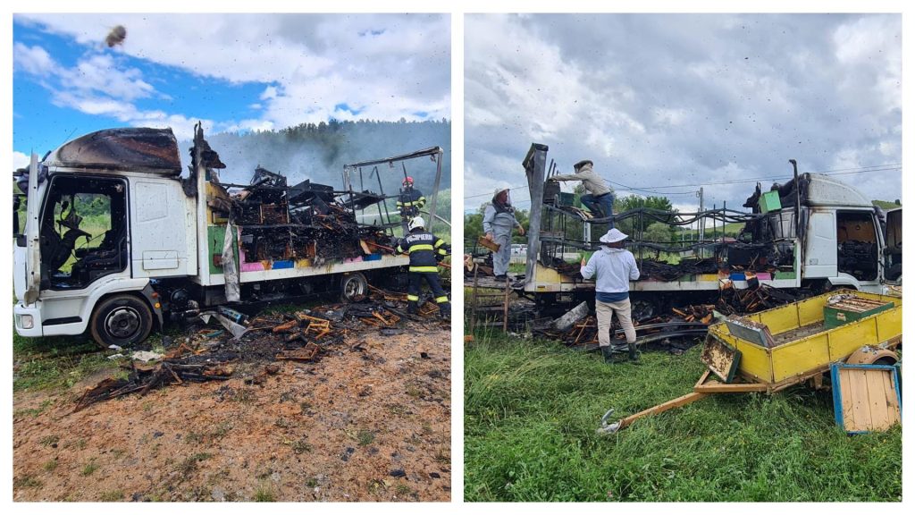 Intervenție dificilă pentru stingerea unui incendiu care a cuprins un camion cu stupi. Albinele îi atacau pe pompieri