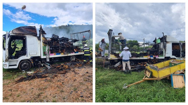 Intervenție dificilă pentru stingerea unui incendiu care a cuprins un camion cu stupi. Albinele îi atacau pe pompieri