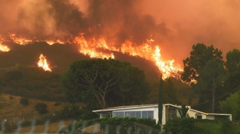 Evacuări şi mii de hectare devastate de incendii de vegetaţie în comitatul Los Angeles