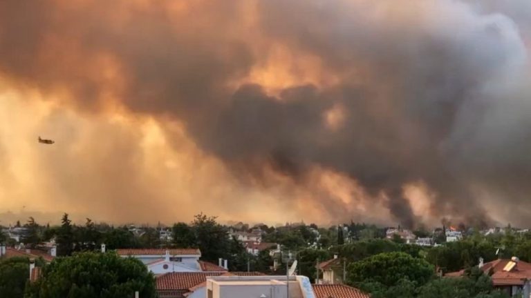Un incendiu, alimentat de vânt și caniculă, a devastat zone împădurite de la periferia Atenei
