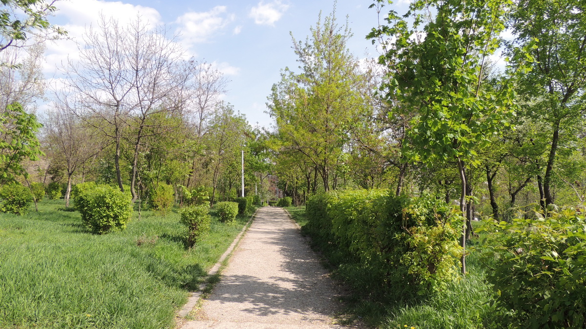 Când va fi gata noul parc din Tătărași, unul din cele mai mari din Iași? Trei mari asocieri de firme au intrat în competiție