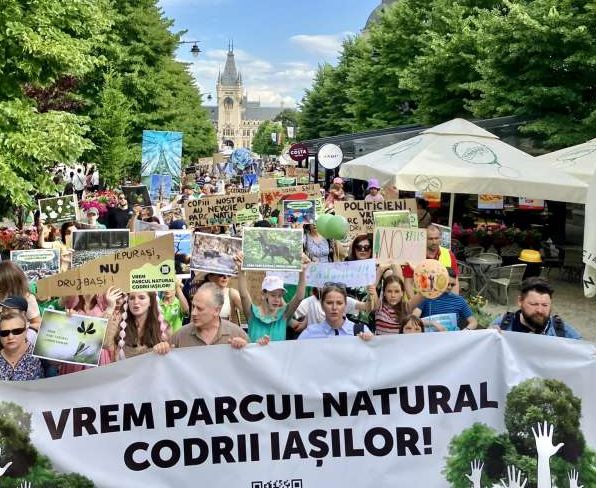  Sute de persoane au protestat la Iaşi şi au cerut crearea Parcului Natural Codrii Iaşilor