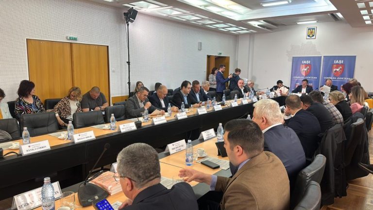 Consilierii CJ s-au strâns pentru o nouă organigramă fără prea mulți șefi ”mici”. O bormașină îi face să vorbească tare