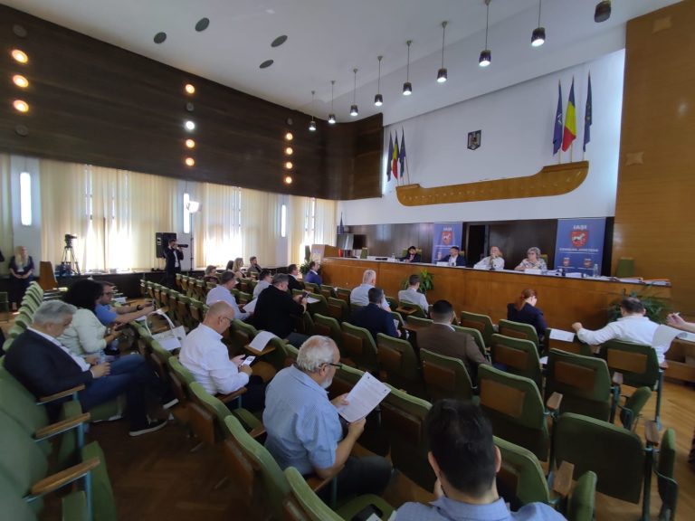 Moleșiți de căldură, aleșii județului au adoptat 34 de hotărâri la „foc automat”