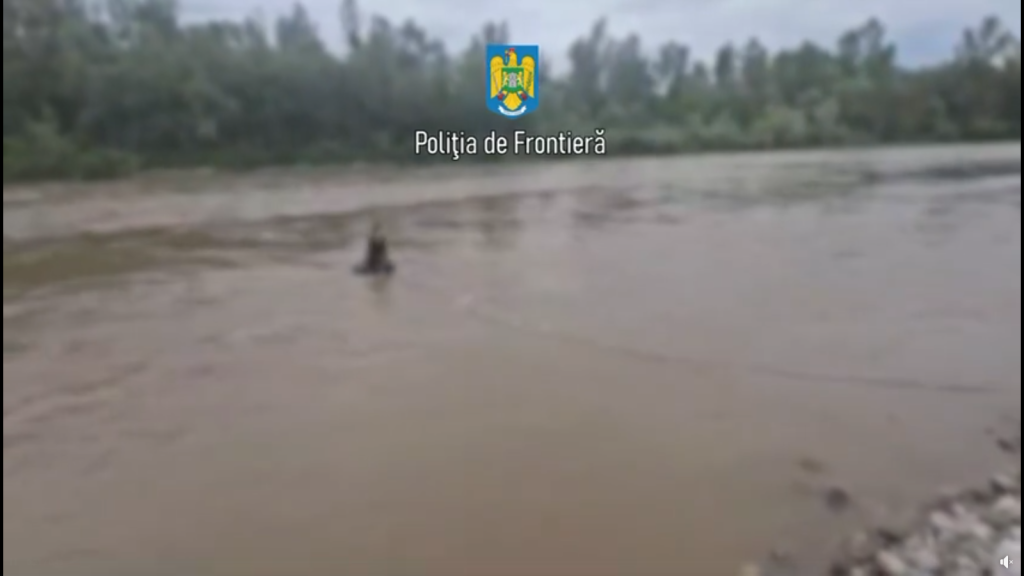 VIDO Gest grozav făcut de polițiștii de frontieră maramureșeni. Cum l-au salvat de la moarte pe un ucrainean