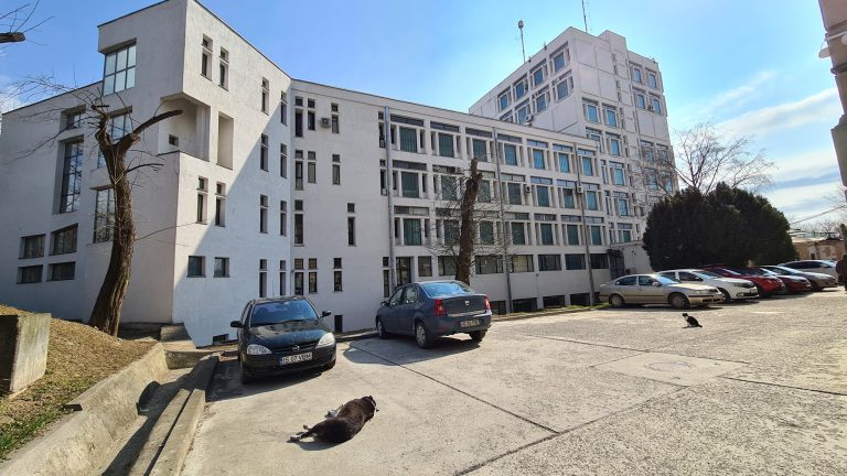 Facultatea de Informatică din Iași este la mare căutare. Un prim pas pentru cei care vor să studieze inteligența artificială
