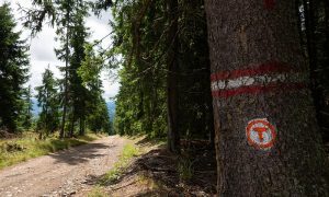 Traseu care conectează 18 localităţi din judeţul Braşov, inclus în Via Transilvanica. Drumul porneşte din Viscri şi are o lungime de 170 de kilometri