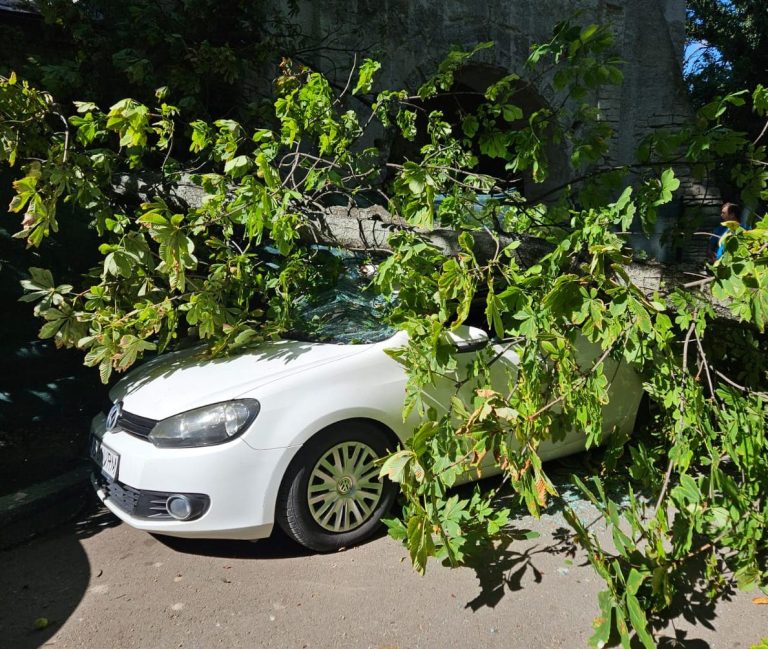 Incident grav la spitalul „Sf. Spiridon” din Iași - Un copac s-a prăbușit peste mașina unui medic (FOTO)