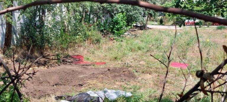 Cadavrul găsit îngropat într-o grădină din Buzău: Bărbat, cercetat pentru două crime