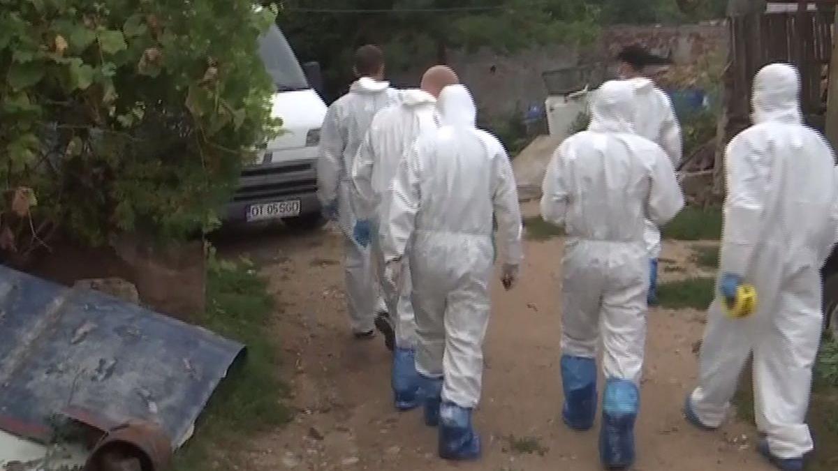 Femeie de 58 de ani, ucisă și îngropată în Pădurea Cernica. Fiica ei, de 14 ani, principalul suspect