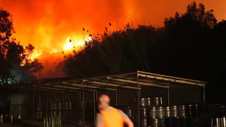 Piroman român arestat în Grecia. Este acuzat că ar fi provocat incendii de vegetație