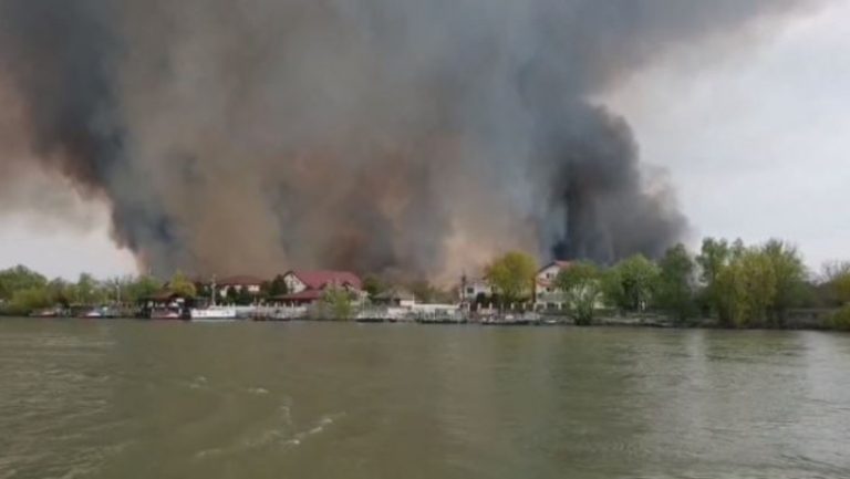 Delta Dunării în flăcări – Sute de hectare de vegetație mistuite de incendii, în doar două zile de caniculă