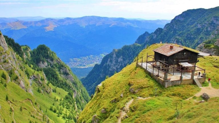 Prahova: Un turist a anunţat că o tânără a fost atacată de urs pe Jepii Mici. Fata, găsită moartă - UPDATE