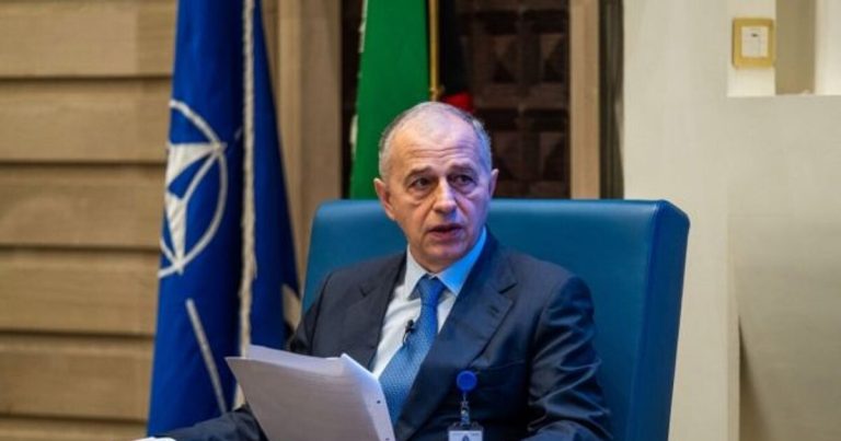 Mircea Geoană, prins și el că și-a plagiat doctoratul. Dezvăluire marca Emilia Șercan