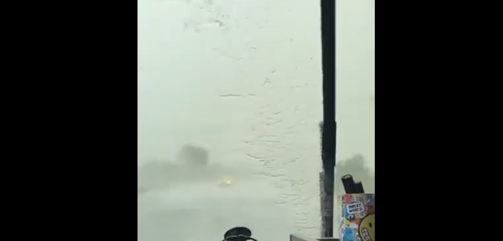  VIDEO Norii s-au rupt la Pașcani. Ploaie cu gheață, copaci doborâți