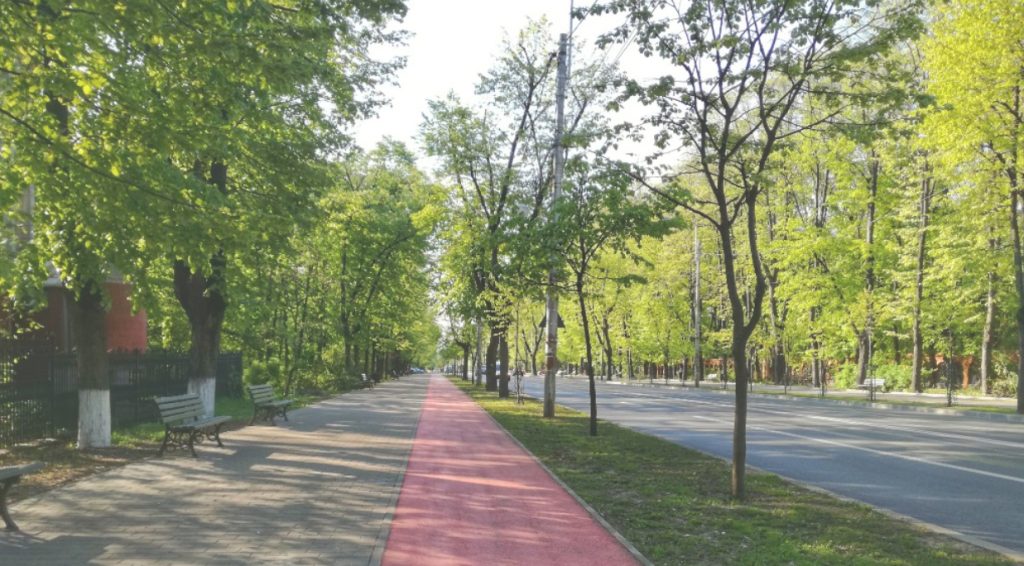 Poate sau nu Iașul să fie în continuare Orașul teilor? Am provocat mai mulți specialiști la dezbatere: iată concluzia!