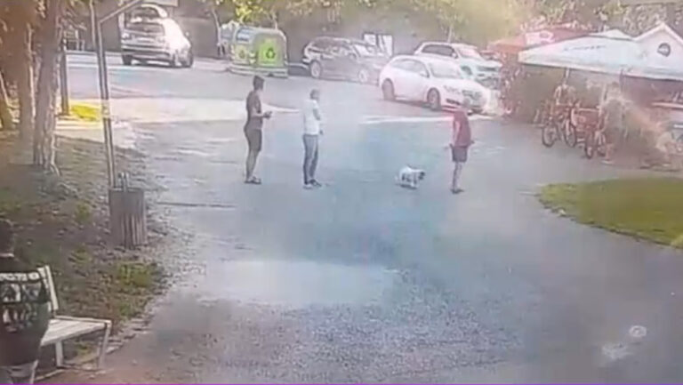 Adolescentul care a provocat accidentul mortal din parcul Pantelimon se afla într-un apel video şi inhala gaz ilariant la volan