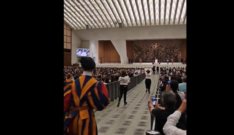 Activişti ai cauzei animalelor din PETA întrerup audienţa Papei Francisc/VIDEO