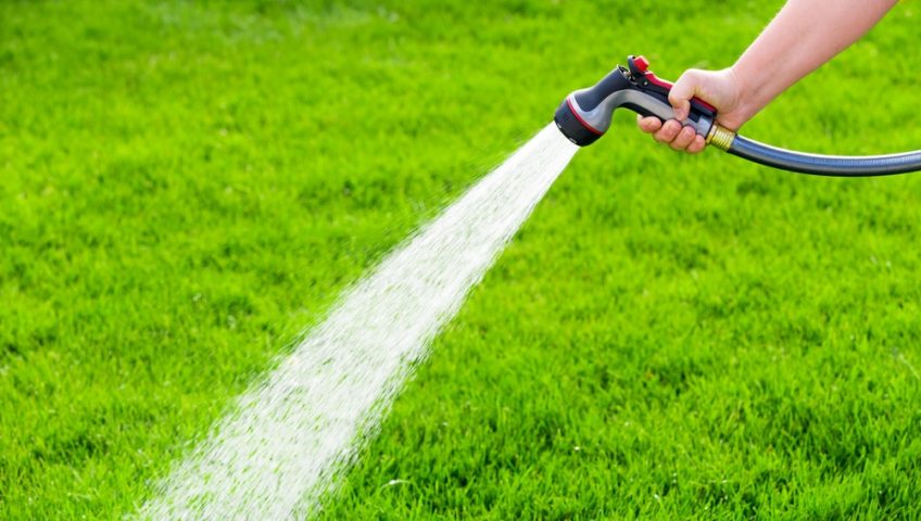 Dezbatere lansată de ApaVital – Umpli piscina sau uzi gazonul cu apă din rețea? Plătești de 2, 3 sau 5 ori mai mult. Ce părere aveți?