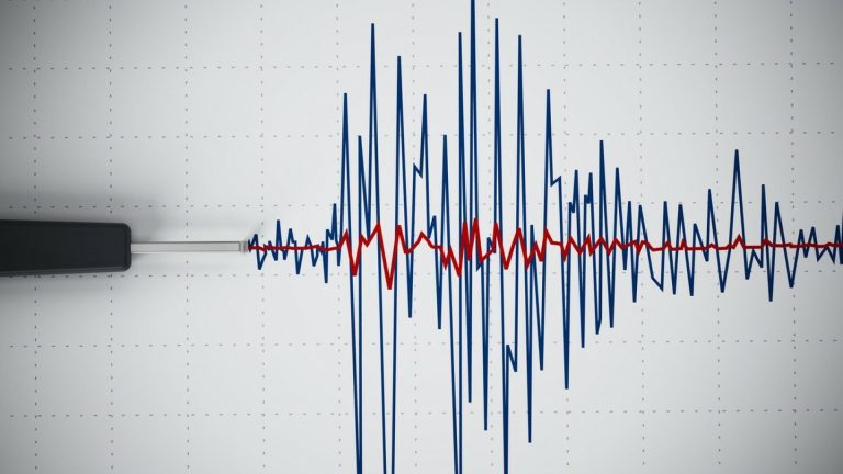Cutremur de 4,1 grade în zona seismică Vrancea