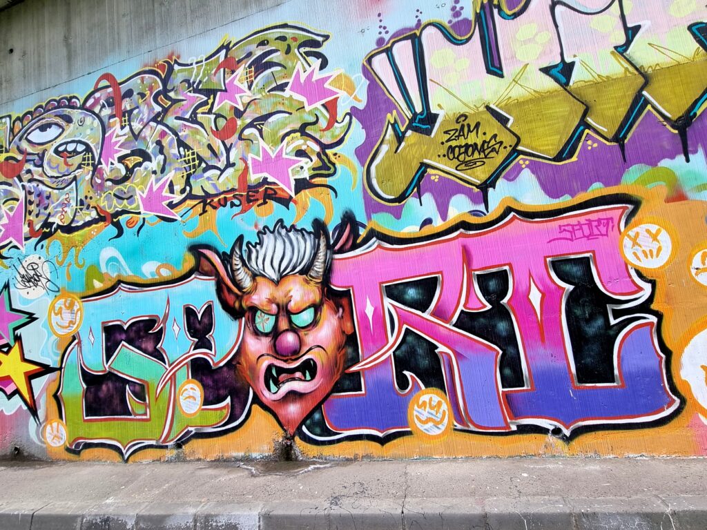  grafitti-Iasi (10)