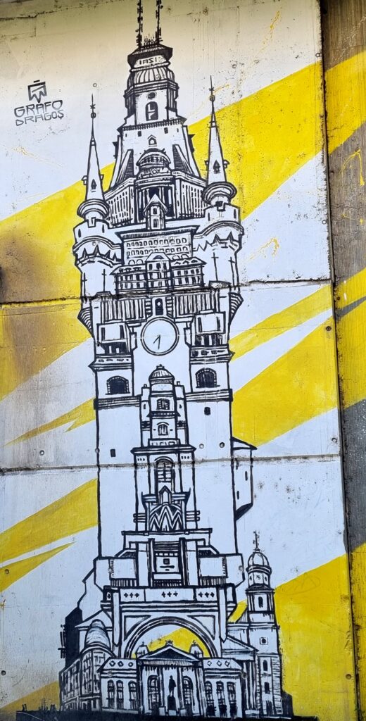  grafitti-Iasi (11)