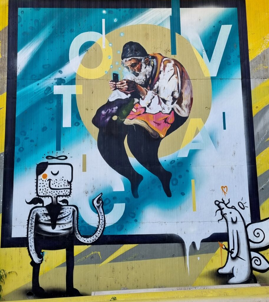  grafitti-Iasi (12)