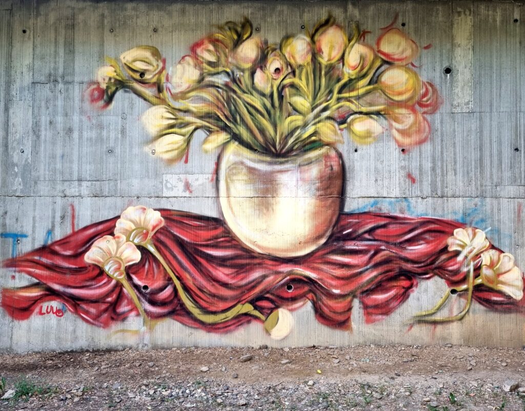  grafitti-Iasi (13)