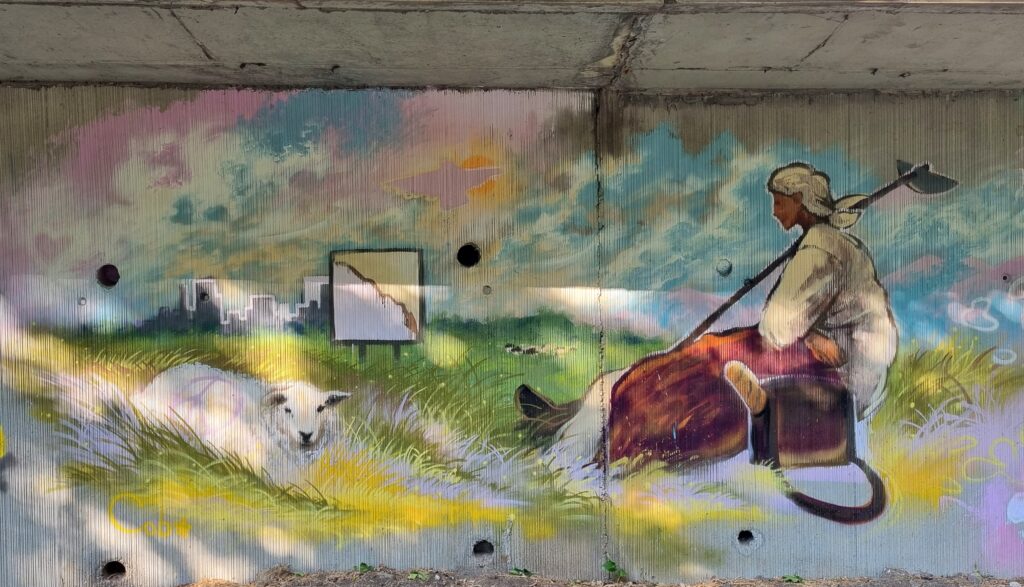  grafitti-Iasi (14)