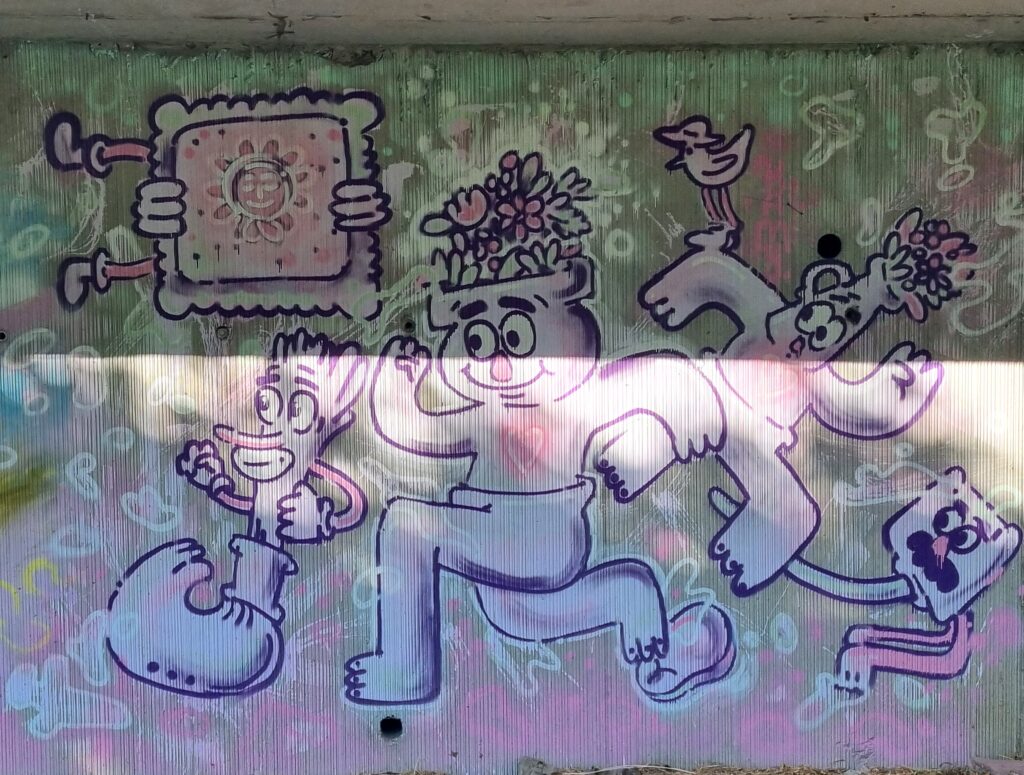  grafitti-Iasi (15)