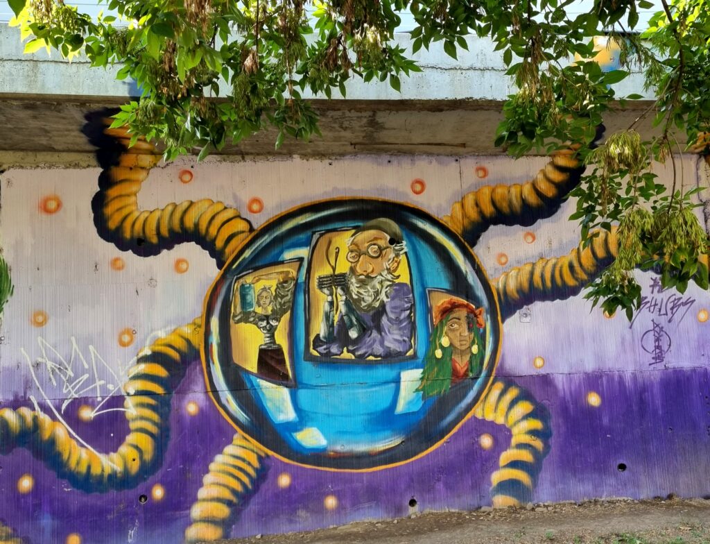  grafitti-Iasi (16)