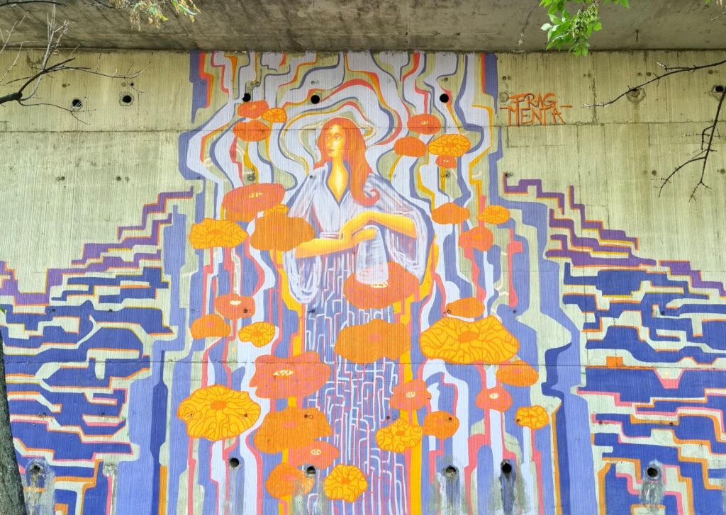  grafitti-Iasi (17)