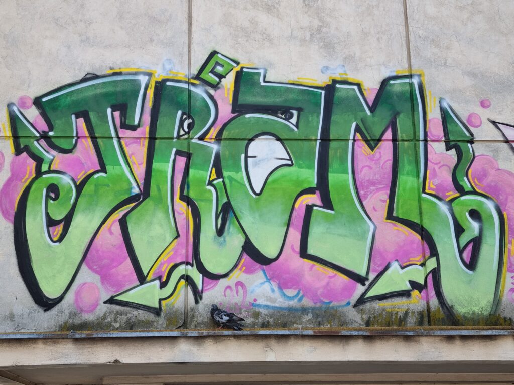  grafitti-Iasi (2)