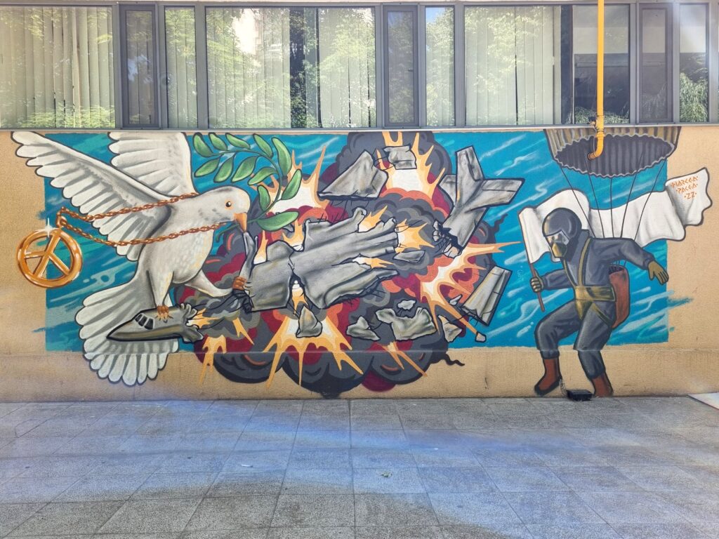  grafitti-Iasi (3)