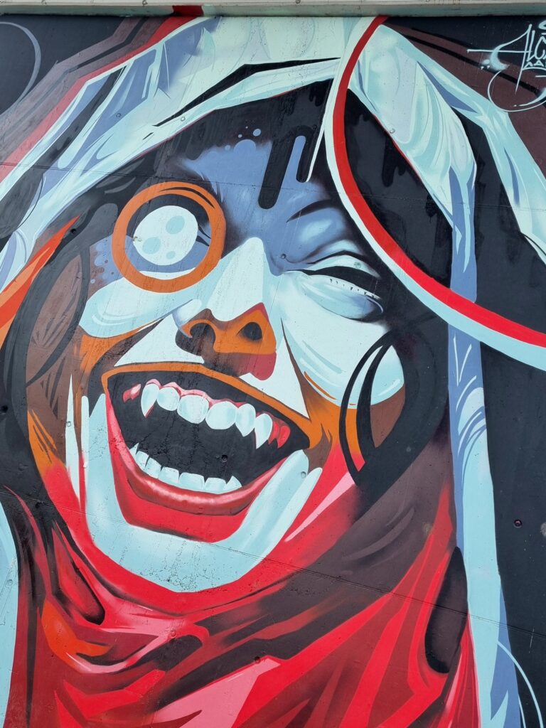  grafitti-Iasi (6)