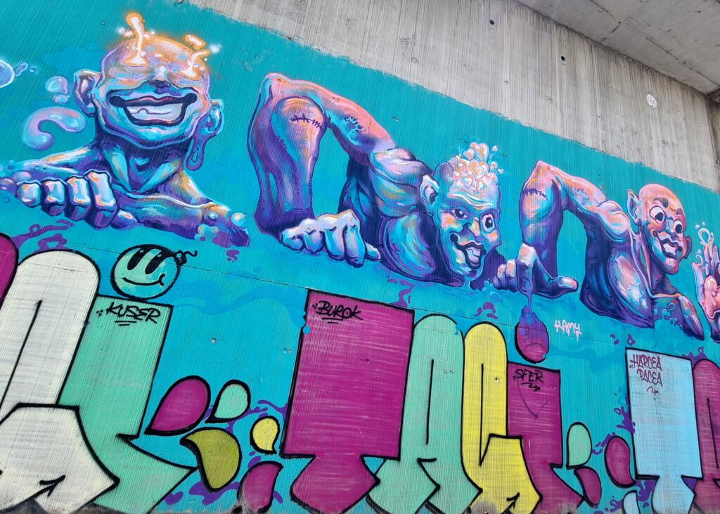  grafitti-Iasi (8)