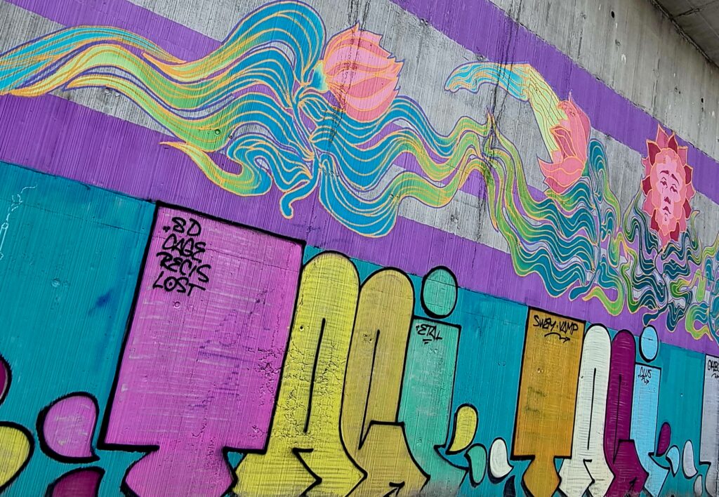  grafitti-Iasi (9)
